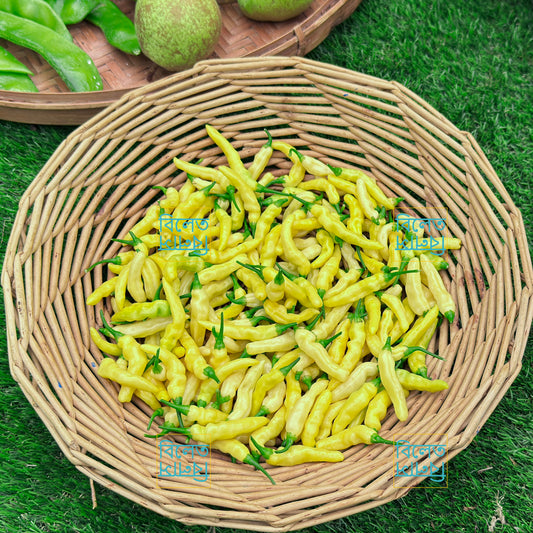Ghee Naga Chilli Pepper Seeds (Aribibi Gusano Caterpillar Chilli ঘি-নাগা মরিচ বীজ)