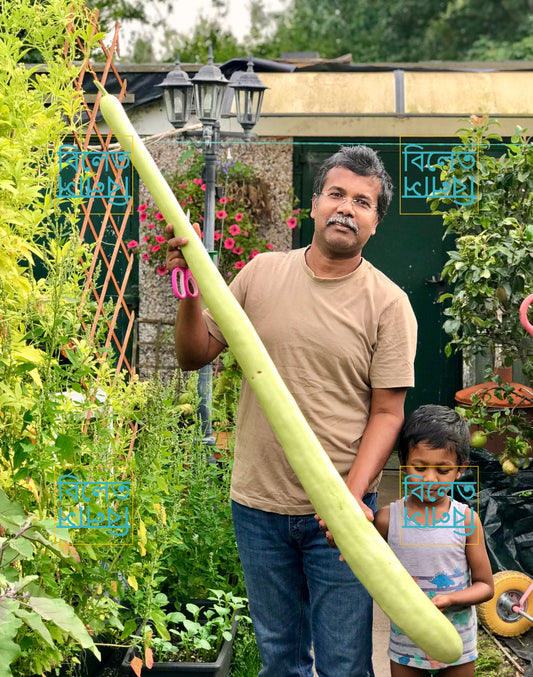 Long Italian Snake Gourd Seeds (Cucuzza) – Vigorous Climber, Edible Fruits Up to 2m long