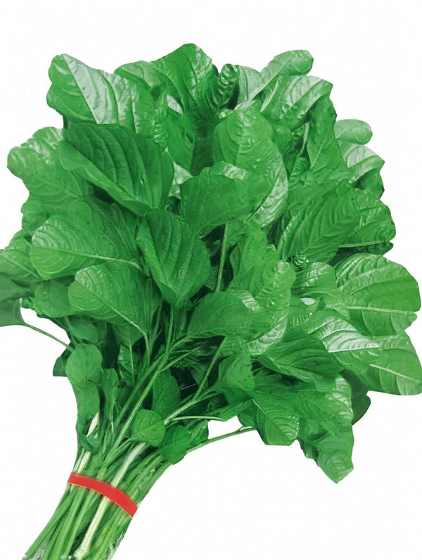 Ghee Kanchan Shak Seeds | Fast Growing Nutritious Green Leafy Vegetable | High Yield for Pots & Garden Beds সেরা জাতের নরম সবুজ ঘি কাঞ্চন শাক