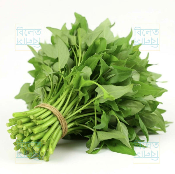 গিমা কলমী শাক Water Spinach Seeds (Gima Kolmi Shak) Thai Morning Glory Kangkong – Genuine Bangladeshi Seeds