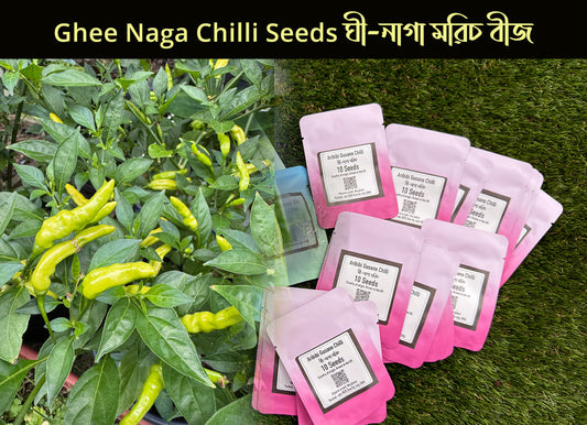 Ghee Naga Chilli Pepper Seeds (Aribibi Gusano Caterpillar Chilli ঘি-নাগা মরিচ বীজ)