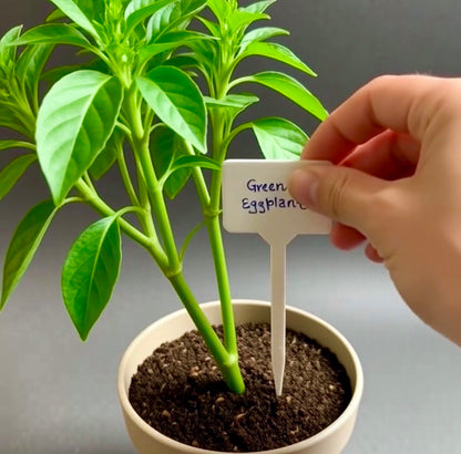 20pcs White Plastic Plant Labels – Reusable Garden Tags for Herbs, Seeds, Flowers & Potted Plants (Pointed)