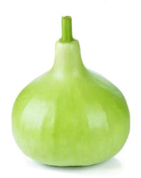 Bindu Lau (Pani Kadu) Bottle Gourd Seeds– Easy to Grow, Early Harvest, High Yield | Perfect for UK Beginners