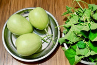 Bindu Lau (Pani Kadu) Bottle Gourd Seeds– Easy to Grow, Early Harvest, High Yield | Perfect for UK Beginners