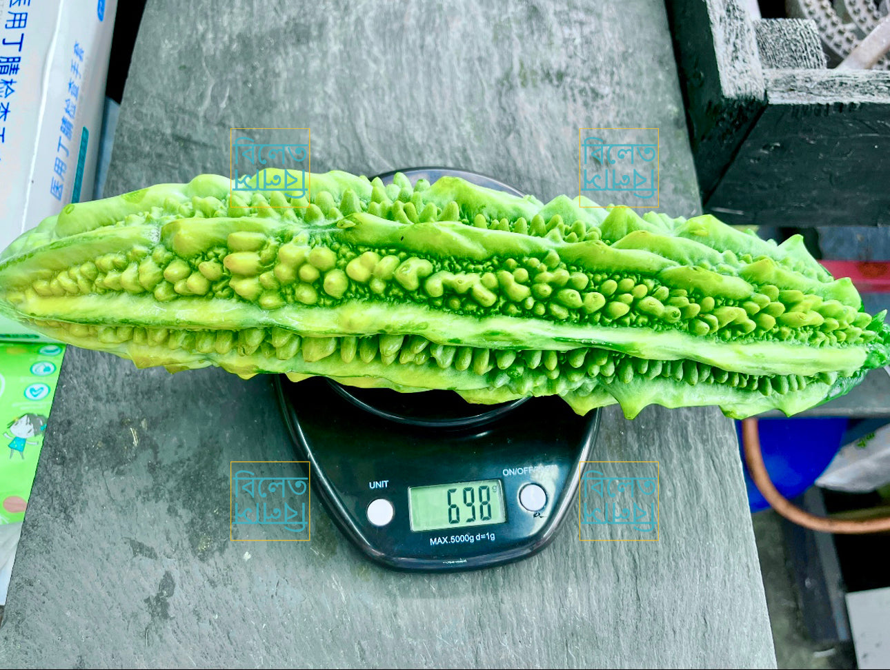 Long Bitter Gourd (Goj Korolla গজ করলা) Seeds – Super Long, Easy-Grow Bitter Gourd