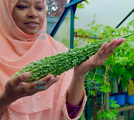 Long Bitter Gourd (Goj Korolla গজ করলা) Seeds – Super Long, Easy-Grow Bitter Gourd