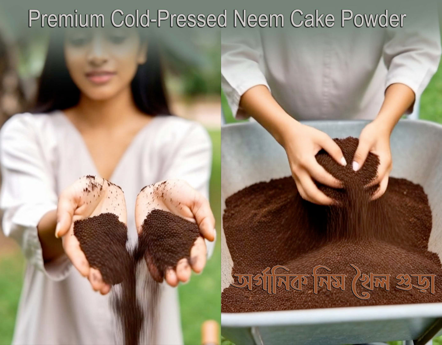 Premium Cold-Pressed Neem Cake Powder নিম খৈল পাউডার