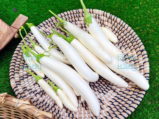 Slim Long White Eggplant Seeds | Creamy, Soft, Delicious & Super Productive Variety