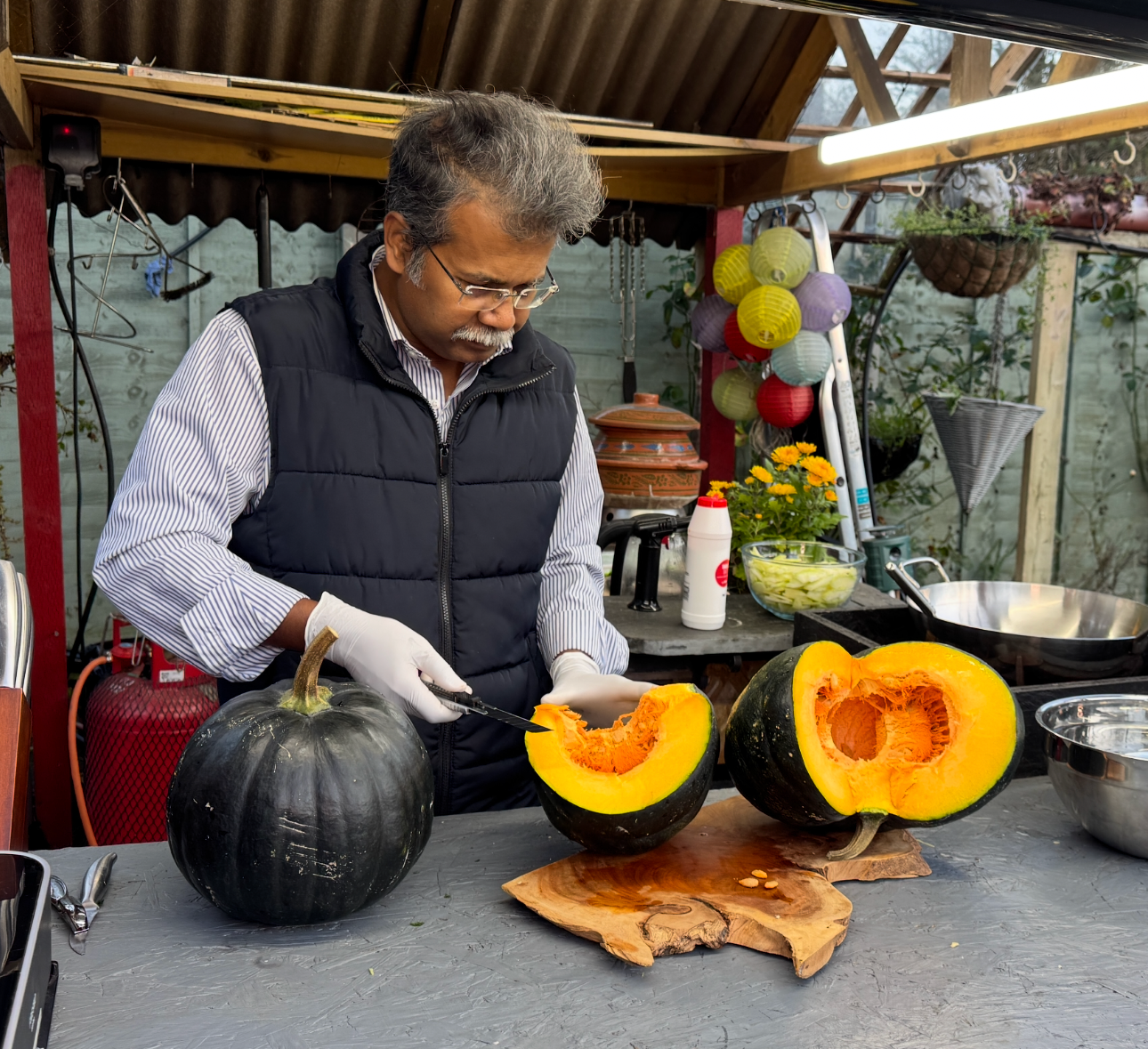 🇧🇩 Bangladeshi Dark Green Sweet Pumpkin Seedling (কালো মিষ্টি কুমড়া চারা)