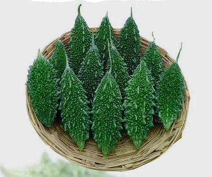 Bitter Gourd Korola Seeds: 'Durbar' a Premium F1 Variety Easy-Grow for UK Gardens