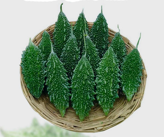 Bitter Gourd Korola Seeds: 'Durbar' a Premium F1 Variety Easy-Grow for UK Gardens