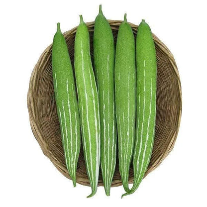 Snake Gourd Chichinga Seedlings High Yield Super Prolific Variety দুধকুশি চিচিঙ্গা চারা