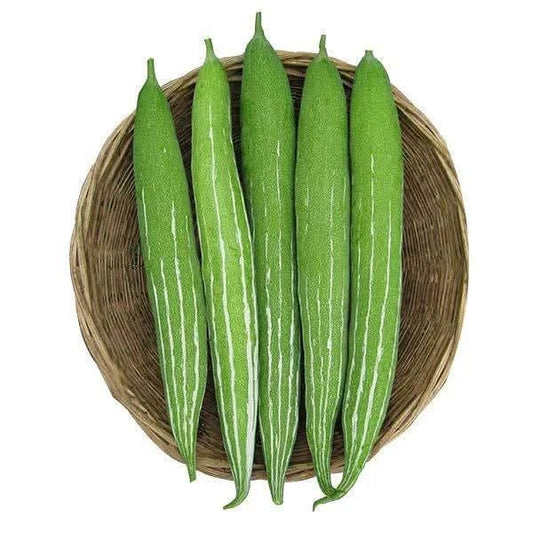 Snake Gourd Chichinga Seedlings High Yield Super Prolific Variety দুধকুশি চিচিঙ্গা চারা