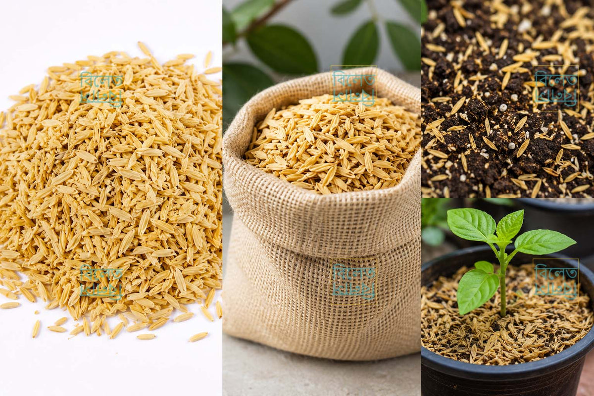 Premium Quality Rice Husks | Natural Soil Improver, Compost Booster & Seed Starting Medium (ধানের তুষ)