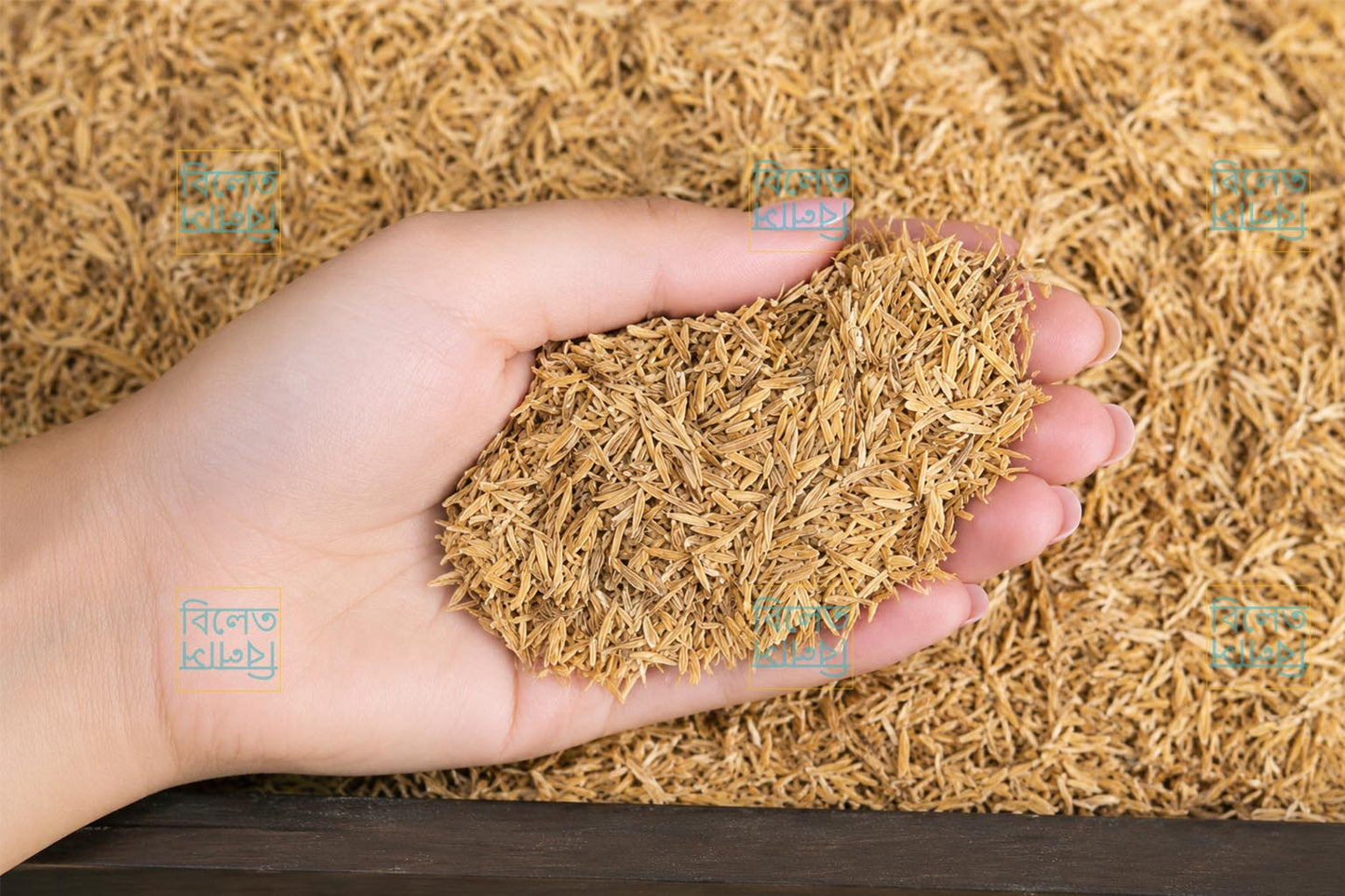 Premium Quality Rice Husks | Natural Soil Improver, Compost Booster & Seed Starting Medium (ধানের তুষ)
