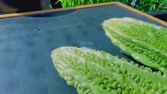 Long Bitter Gourd (Goj Korolla গজ করলা) Seeds – Super Long, Easy-Grow Bitter Gourd
