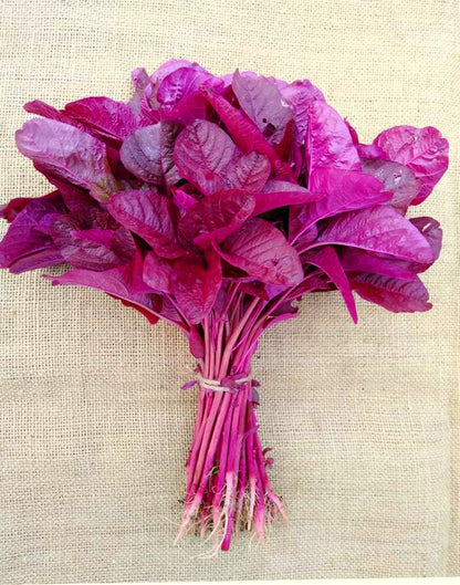 সেরা জাতের লাল শাক রক্ত জবা Rokto Joba Red Amaranth Seeds | High-Yield & Fast-Growing Lal Shak Variety
