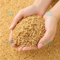 Premium Quality Rice Husks | Natural Soil Improver, Compost Booster & Seed Starting Medium (ধানের তুষ)