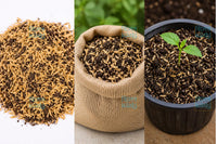 Premium Quality Rice Husks | Natural Soil Improver, Compost Booster & Seed Starting Medium (ধানের তুষ)