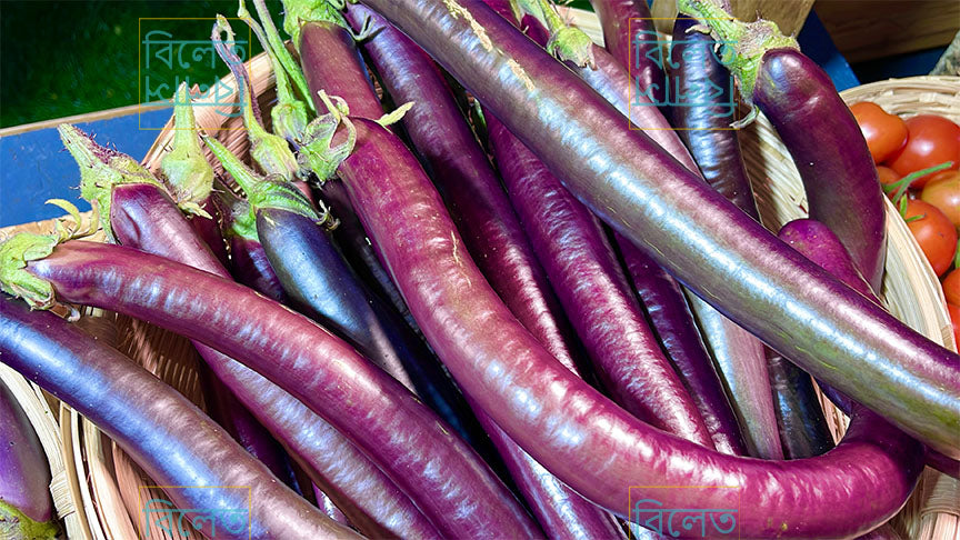 Slim Long Purple King Eggplant Seeds | Soft, Delicious & Super Productive Variety