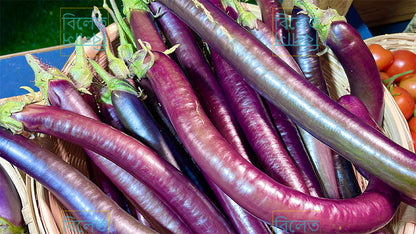 Slim Long Purple King Eggplant Seeds | Soft, Delicious & Super Productive Variety