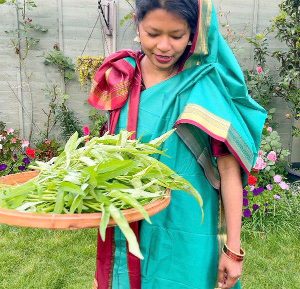 গিমা কলমী শাক Water Spinach Seeds (Gima Kolmi Shak) Thai Morning Glory Kangkong – Genuine Bangladeshi Seeds