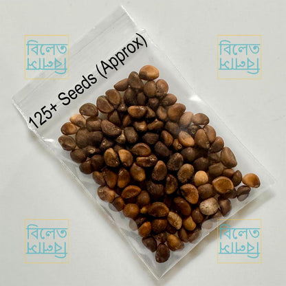গিমা কলমী শাক Water Spinach Seeds (Gima Kolmi Shak) Thai Morning Glory Kangkong – Genuine Bangladeshi Seeds
